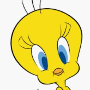 Meet your Posher, Rose